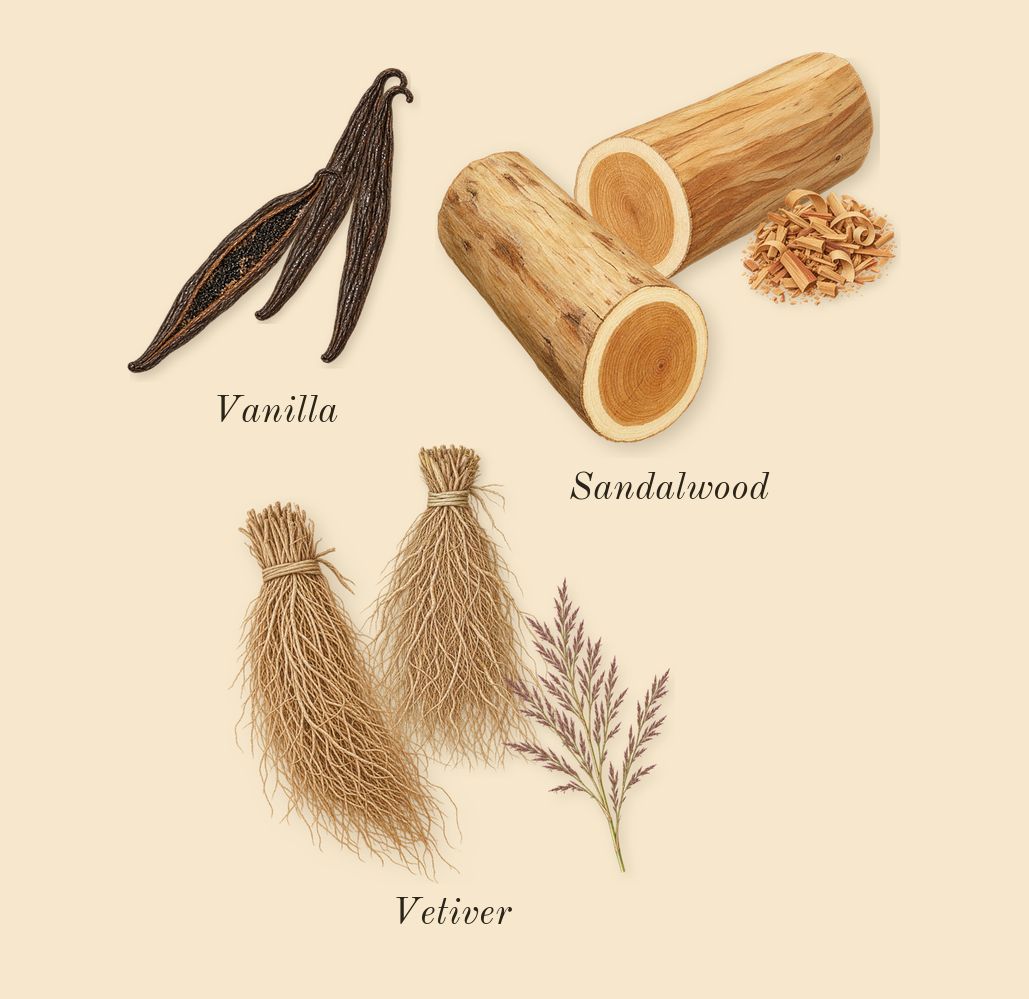 Hundred Silent Ways, dry-down: Vanilla, Sandalwood, Vetiver