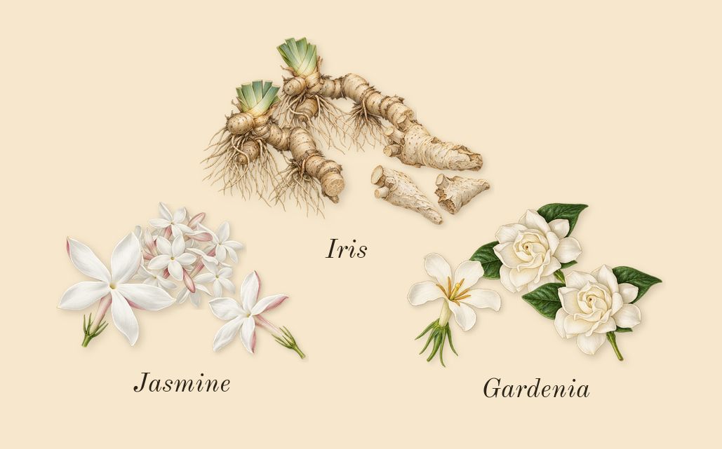 Hundred Silent Ways, heart: Jasmine, Gardenia, Iris