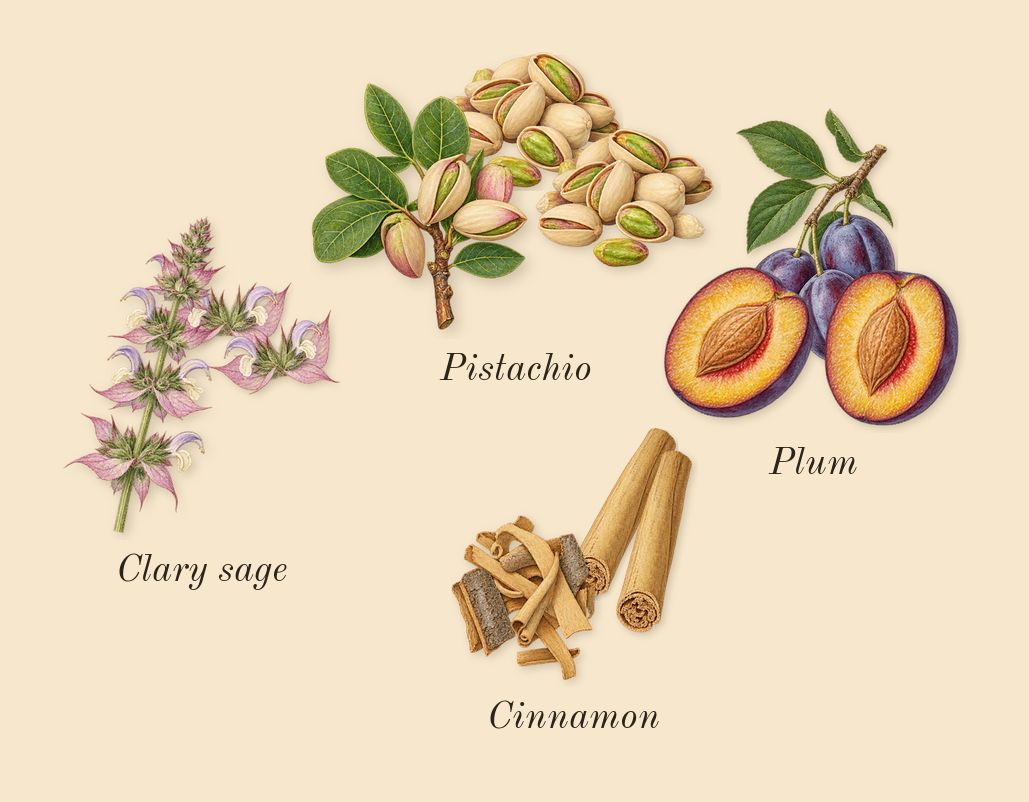 Unmute, top notes: Cinnamon, Plum, Clary sage, Pistachio