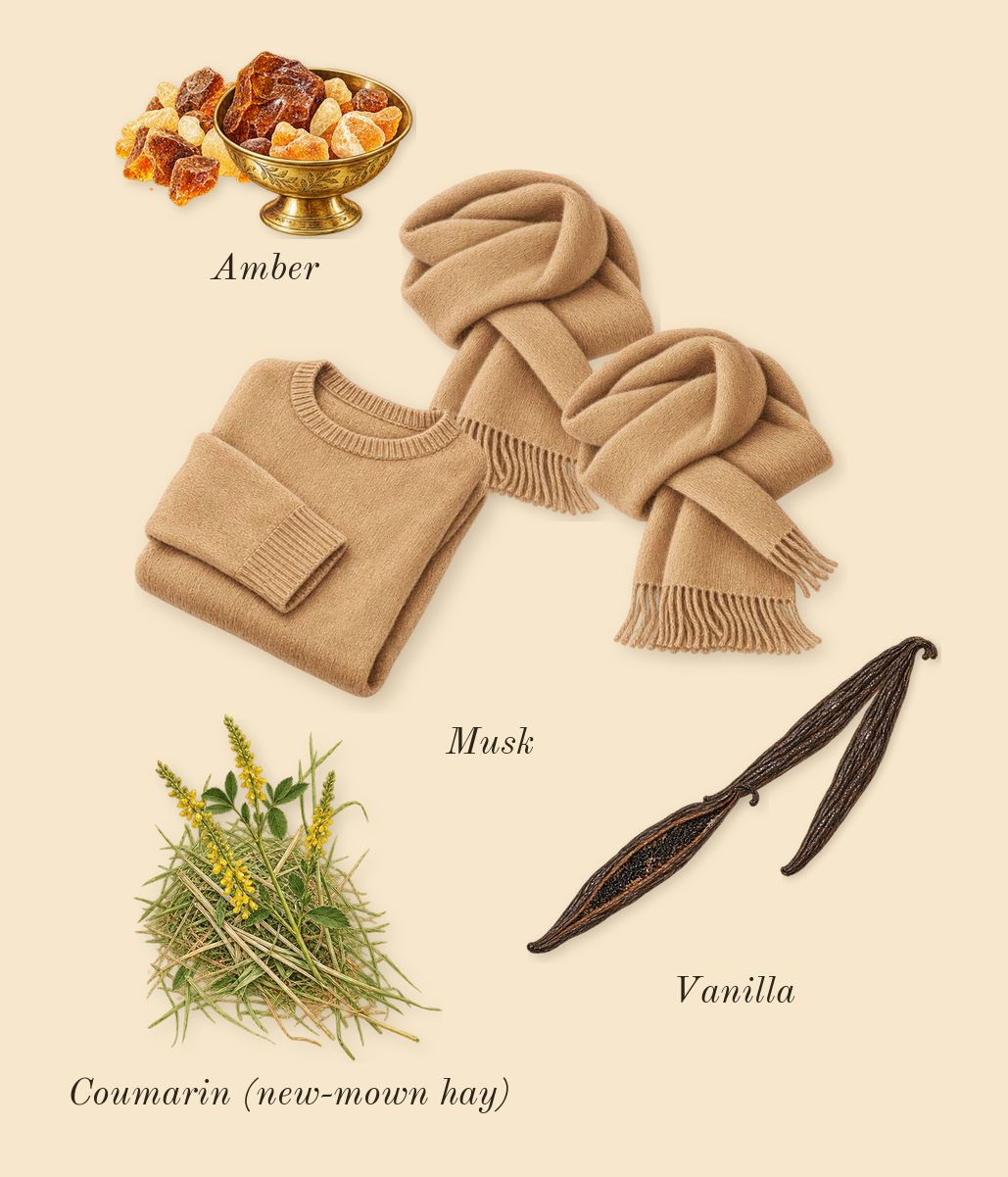 Basic Union, dry-down: Amber, Musk, Vanilla, Coumarin (new-mown hay)