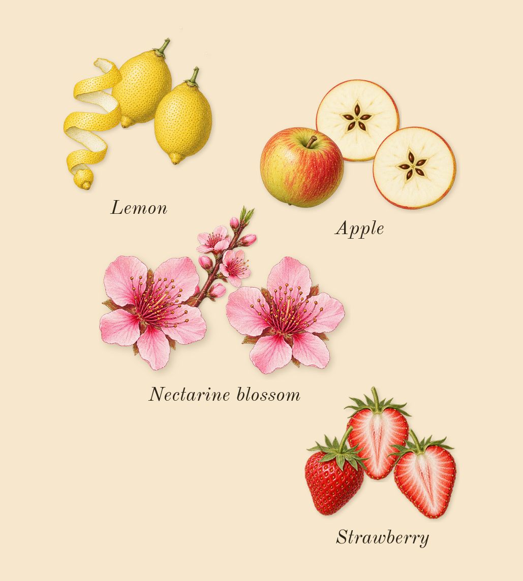 Cotton Clouds, top notes: Strawberry, Lemon, Apple, Nectarine blossom