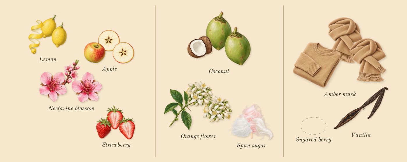 Cotton Clouds’s scent picture, a draft: strawberry, lemon, apple, nectarine blossom, spun sugar, coconut drawn so far; dashed outlines where nothing is drawn yet
