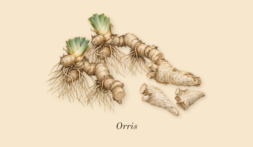Opus V Woods Symphony, top notes: Orris