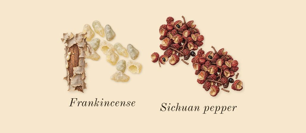 Opus VI, top notes: Sichuan pepper, Frankincense