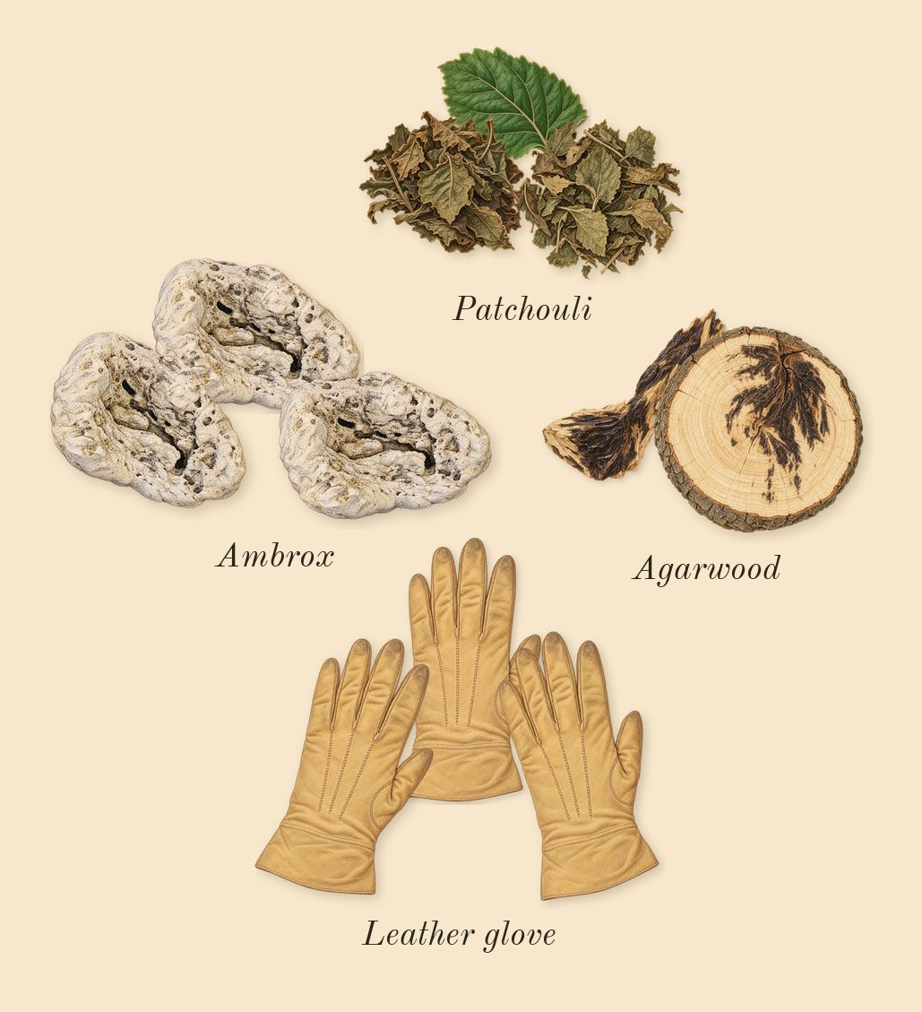 Opus VII Reckless Leather, heart: Agarwood, Patchouli, Ambrox, Leather glove