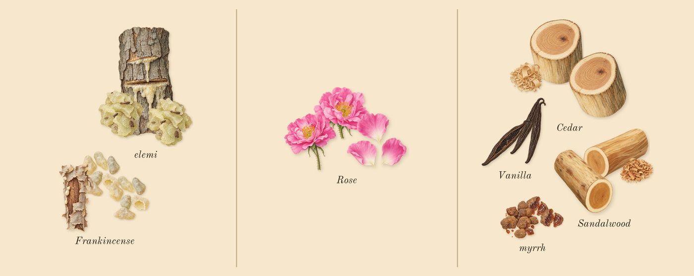 Opus XII Rose Incense’s scent picture, a draft: elemi, frankincense, rose, myrrh, vanilla, sandalwood drawn so far; dashed outlines where nothing is drawn yet