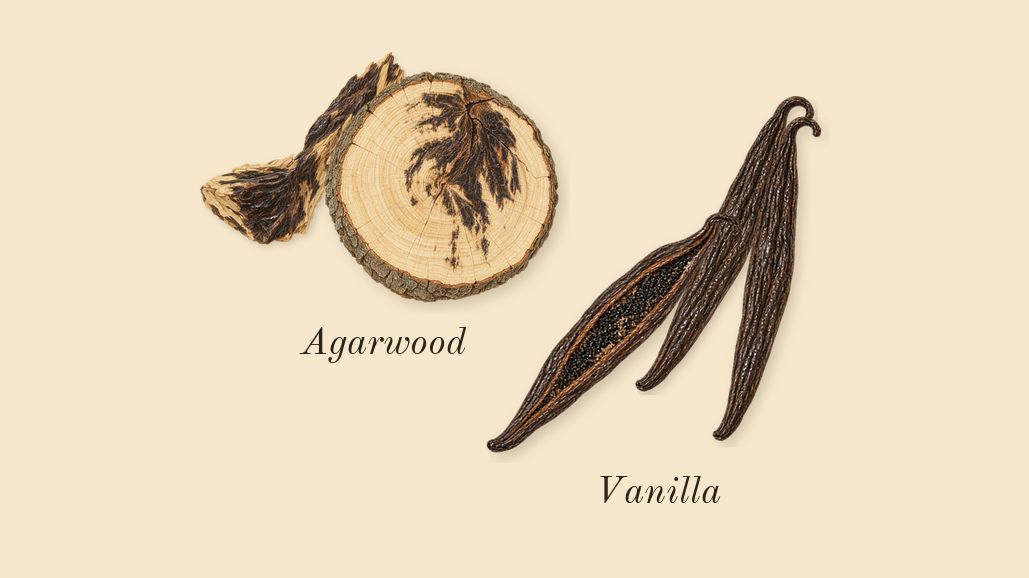 Opus XIII Silver Oud, heart: Agarwood, Vanilla