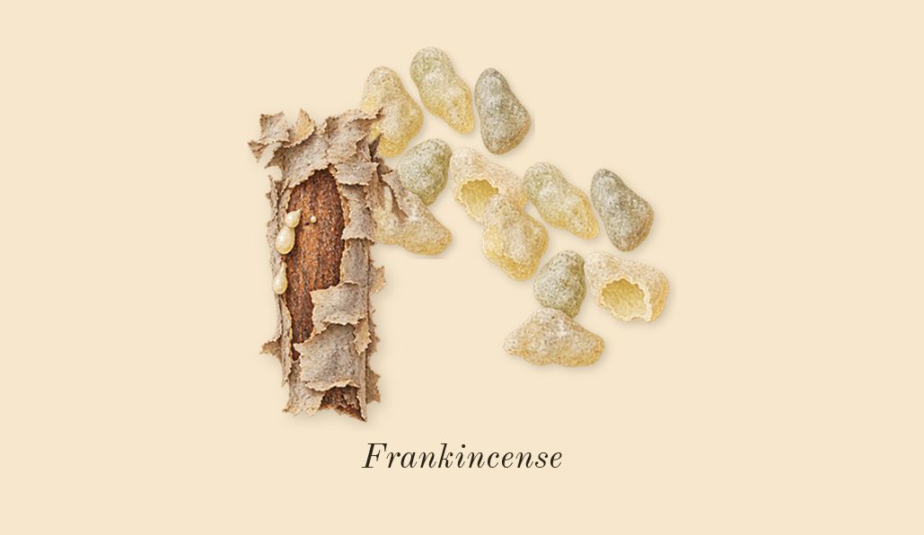 Opus XV King Blue, heart: Frankincense