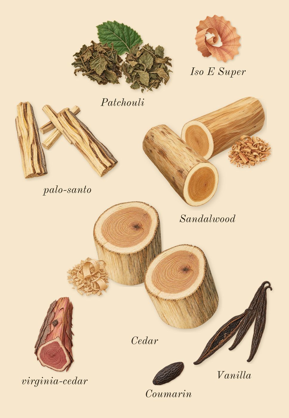 Opus XVI Timber, dry-down: palo-santo, Vanilla, Sandalwood, Cedar, Patchouli, virginia-cedar, Iso E Super, Coumarin