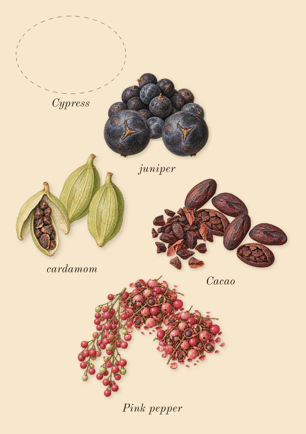 Opus XVI Timber, top notes: Cypress, cardamom, juniper, Pink pepper, Cacao