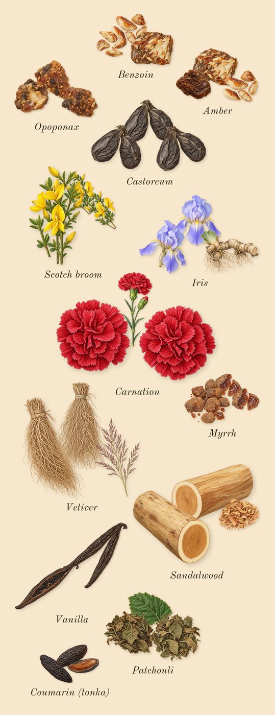 Oscar, dry-down: Opoponax, Carnation, Patchouli, Sandalwood, Amber, Coumarin (tonka), Scotch broom, Iris, Vetiver, Vanilla, Benzoin, Castoreum, Myrrh