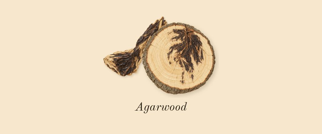 Oud Ulya, top notes: Agarwood