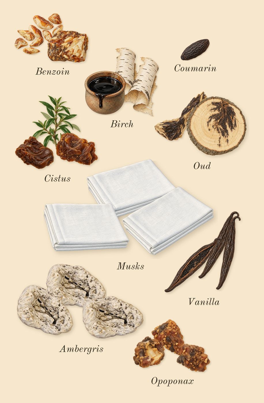 Outlands, dry-down: Benzoin, Cistus, Ambergris, Opoponax, Vanilla, Birch, Musks, Oud, Coumarin