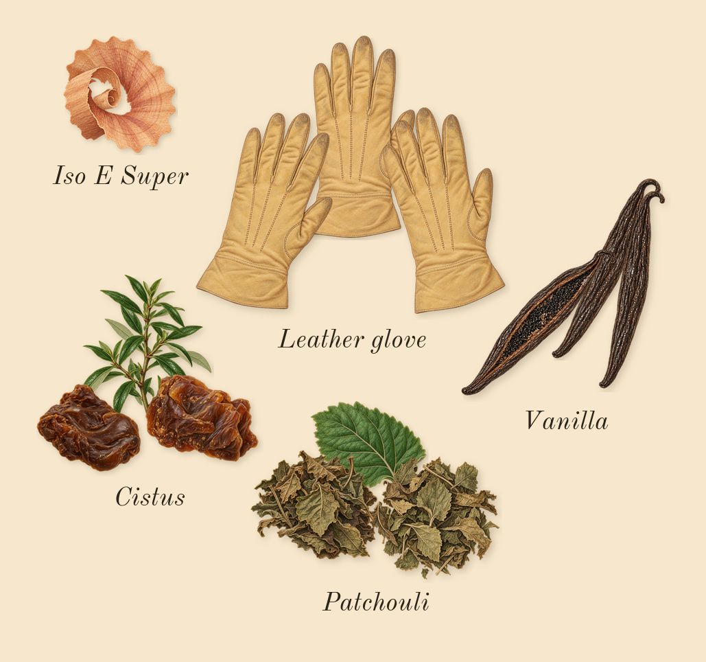 Overture 41, dry-down: Vanilla, Cistus, Patchouli, Leather glove, Iso E Super