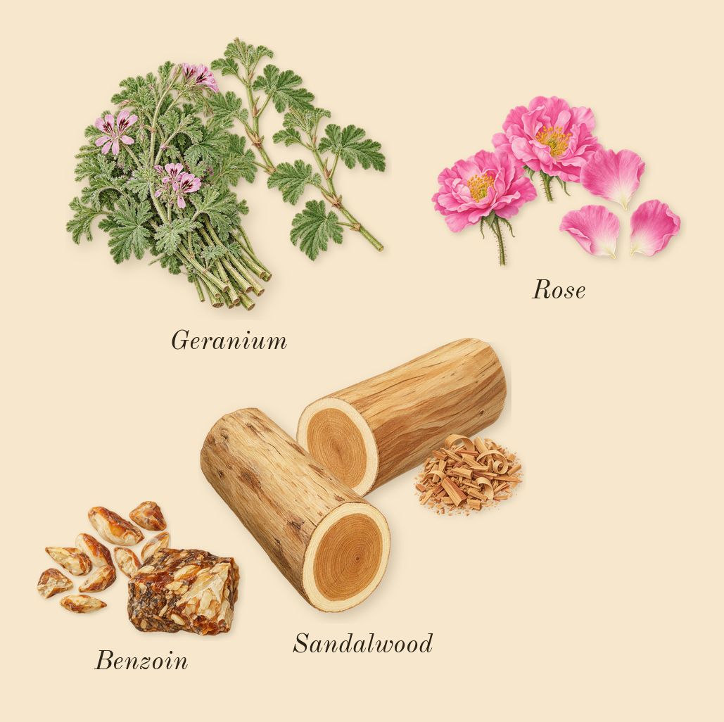 Overture 41, heart: Benzoin, Rose, Geranium, Sandalwood