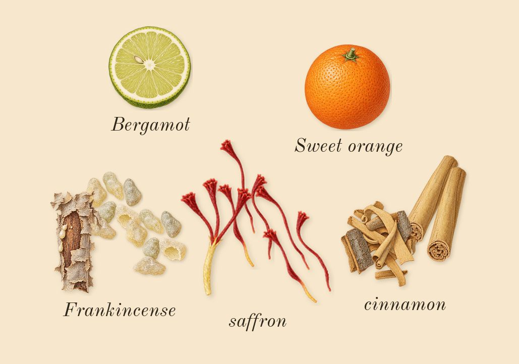 Overture 41, top notes: Frankincense, saffron, cinnamon, Bergamot, Sweet orange