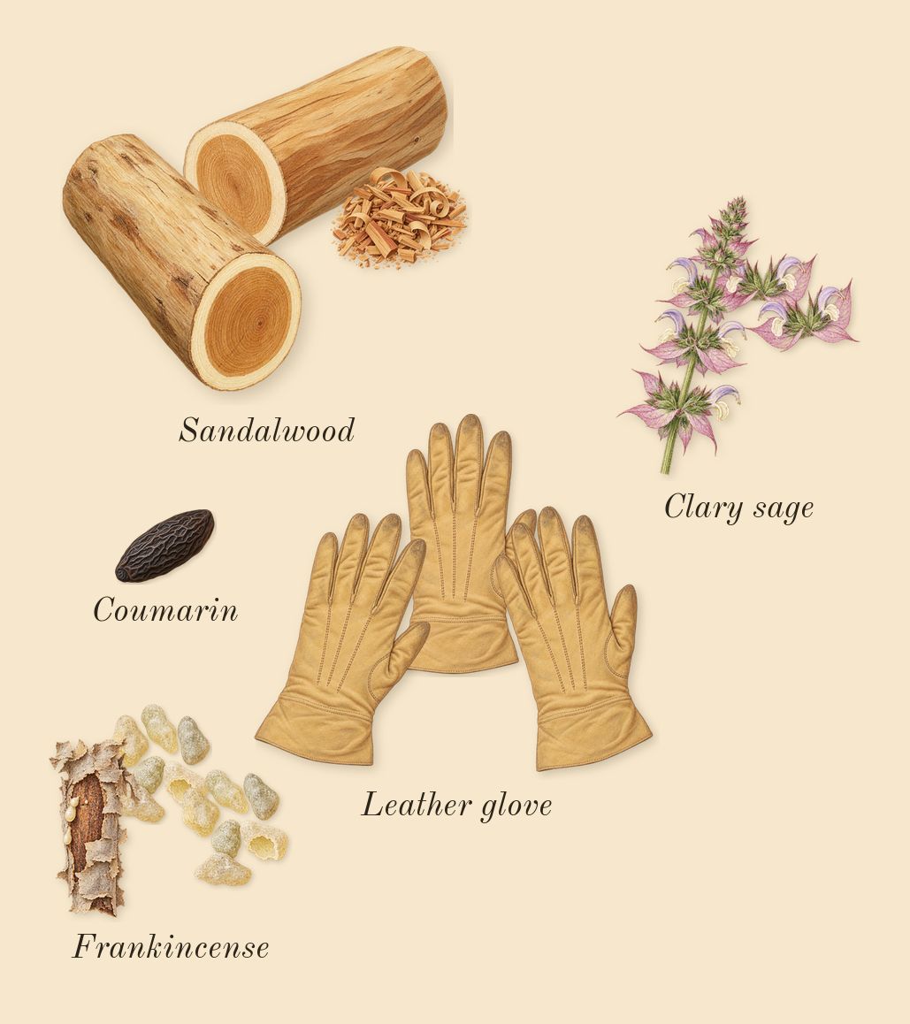 Overture Man, dry-down: Sandalwood, Leather glove, Clary sage, Frankincense, Coumarin