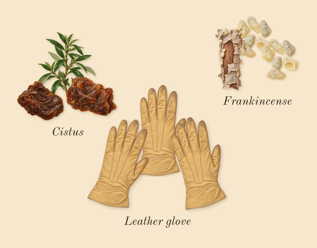Overture Woman, dry-down: Frankincense, Cistus, Leather glove