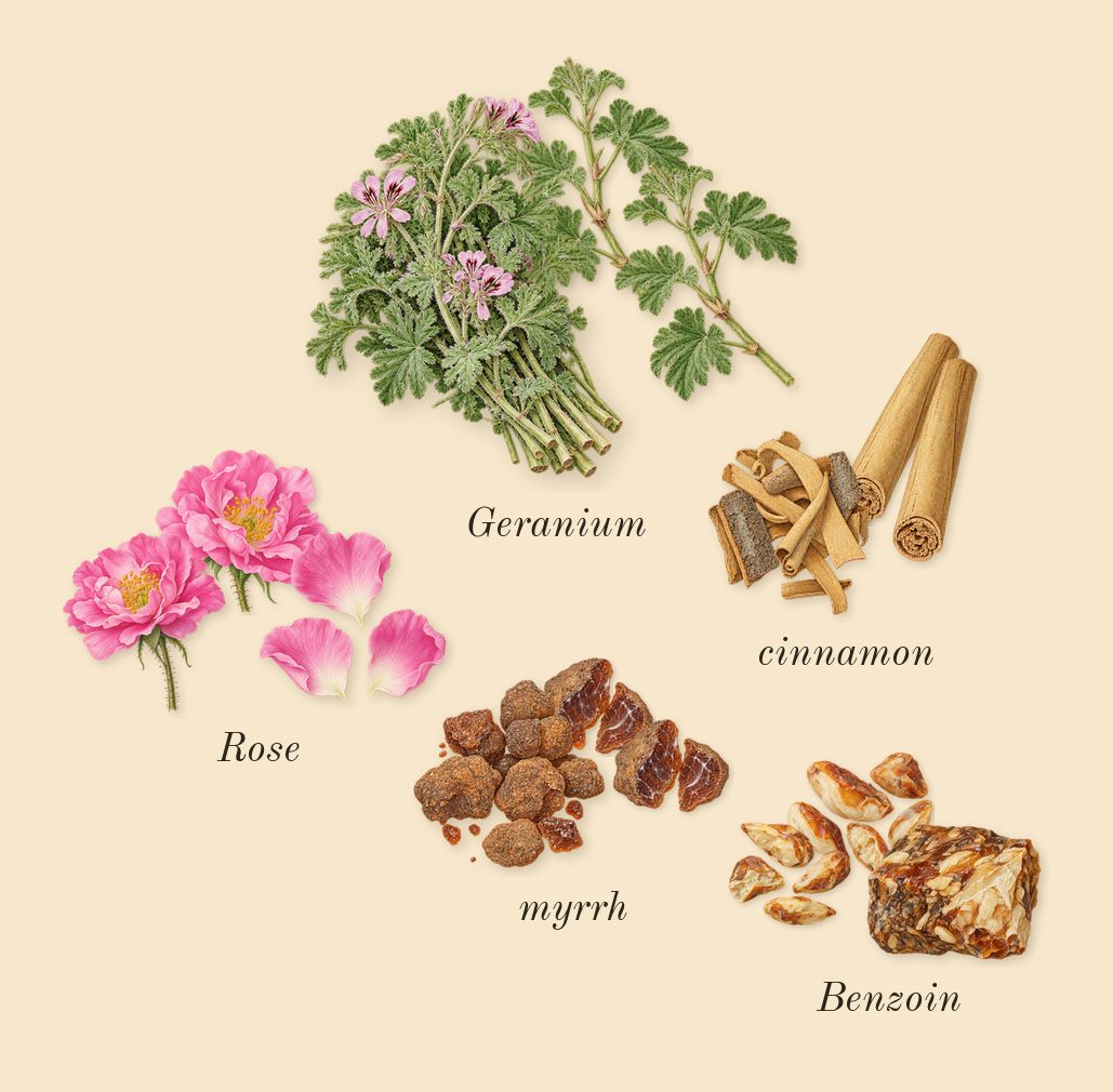Overture Woman, heart: Benzoin, myrrh, Rose, Geranium, cinnamon