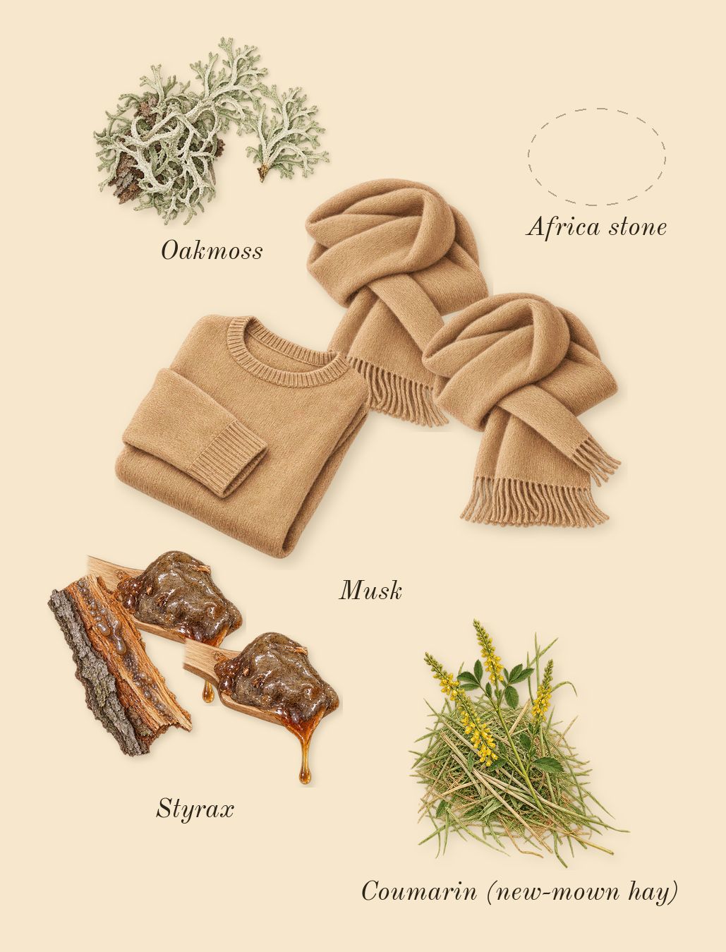 Salome, dry-down: Africa stone, Musk, Oakmoss, Styrax, Coumarin (new-mown hay)