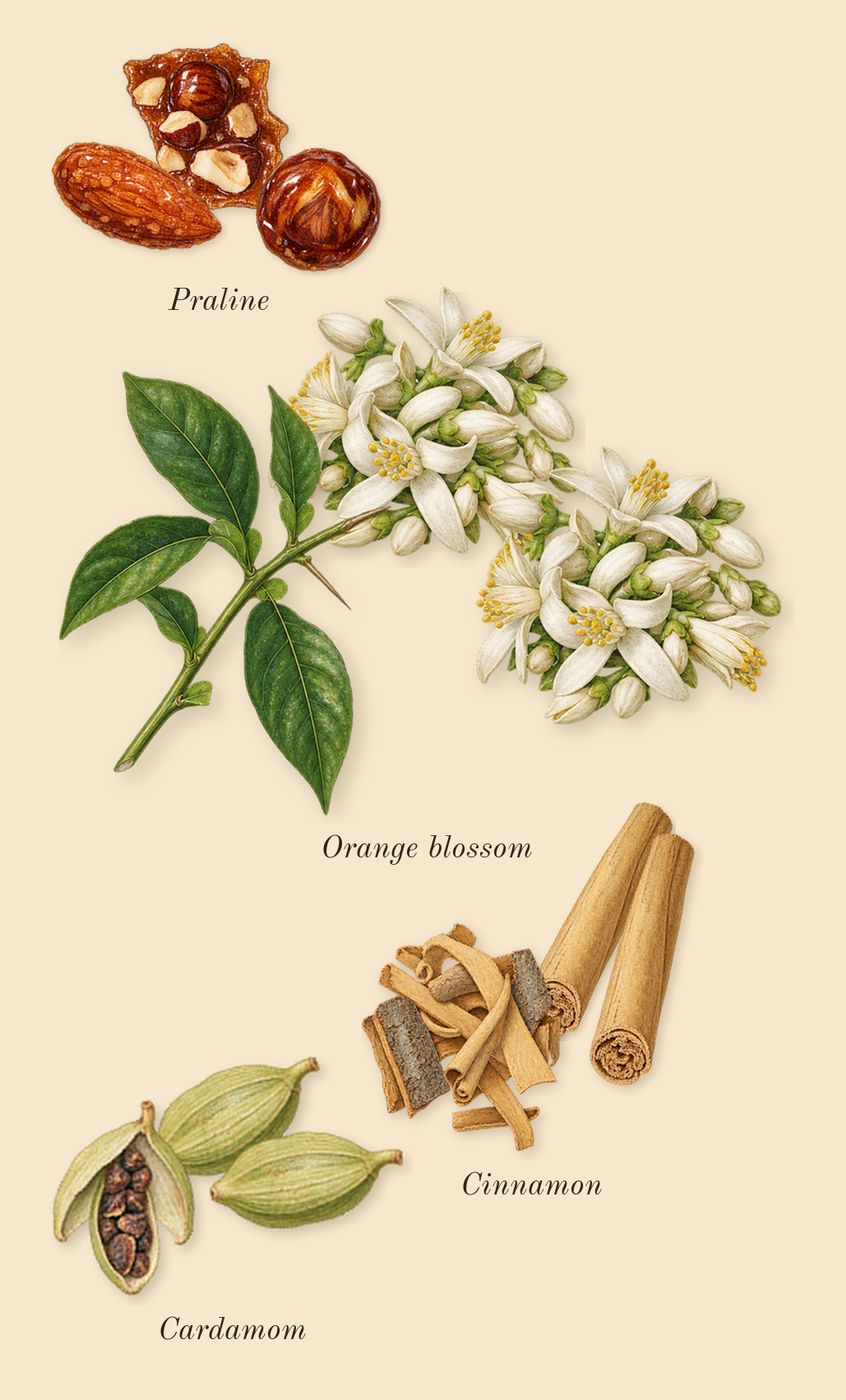 Althaïr Exclusif, heart: Cinnamon, Orange blossom, Cardamom, Praline