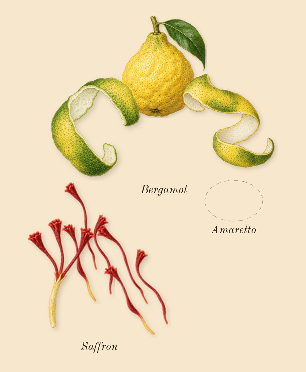 Althaïr Exclusif, top notes: Bergamot, Amaretto, Saffron