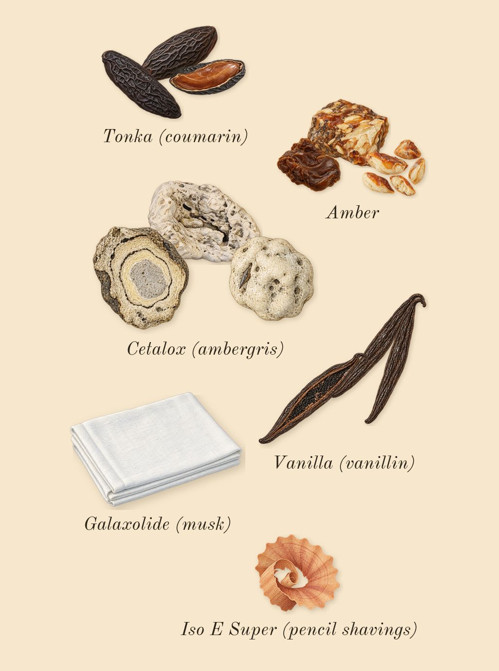 Athénaïs, dry-down: Tonka (coumarin), Vanilla (vanillin), Cetalox (ambergris), Amber, Galaxolide (musk), Iso E Super (pencil shavings)
