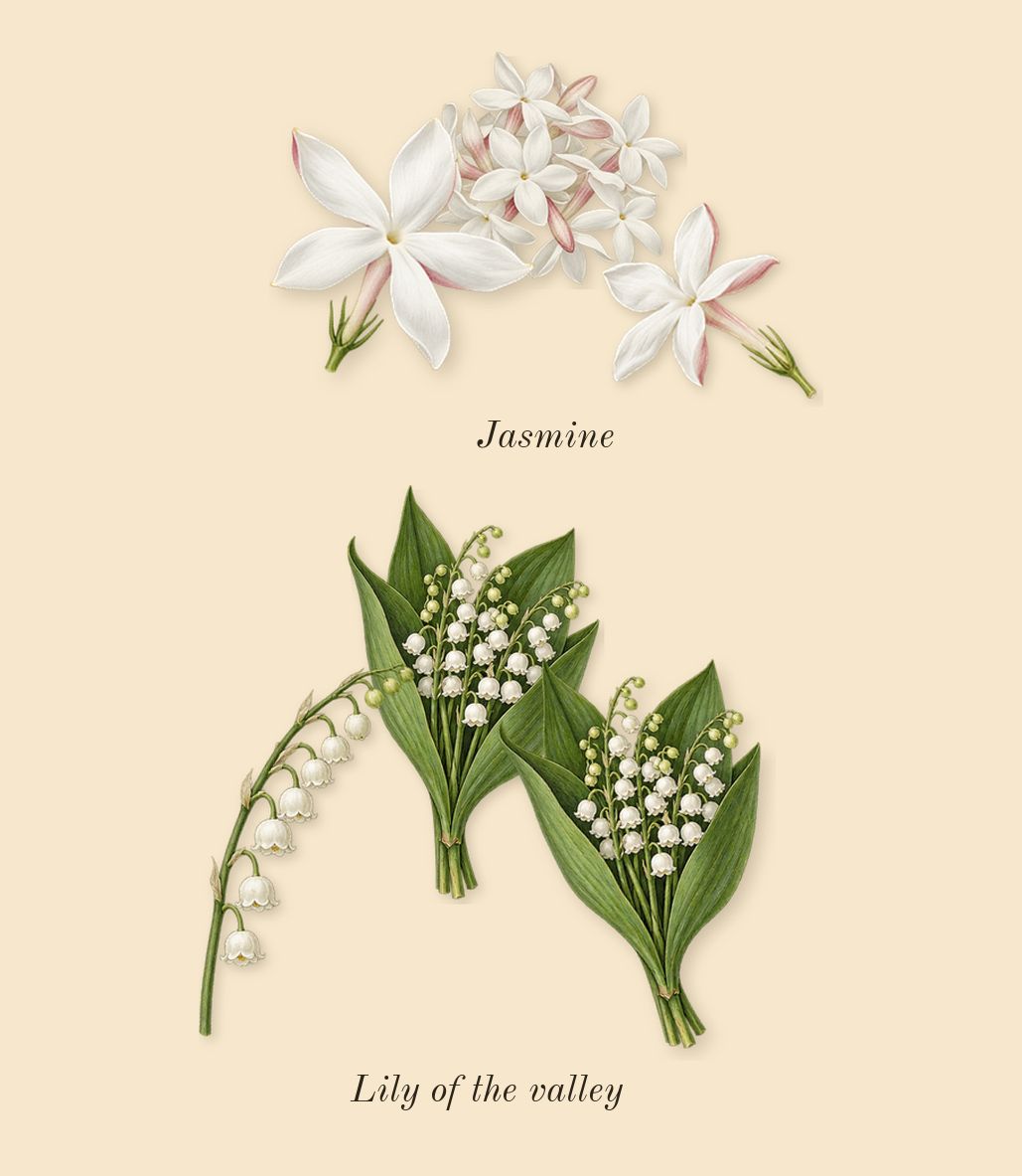 Athénaïs, heart: Jasmine, Lily of the valley
