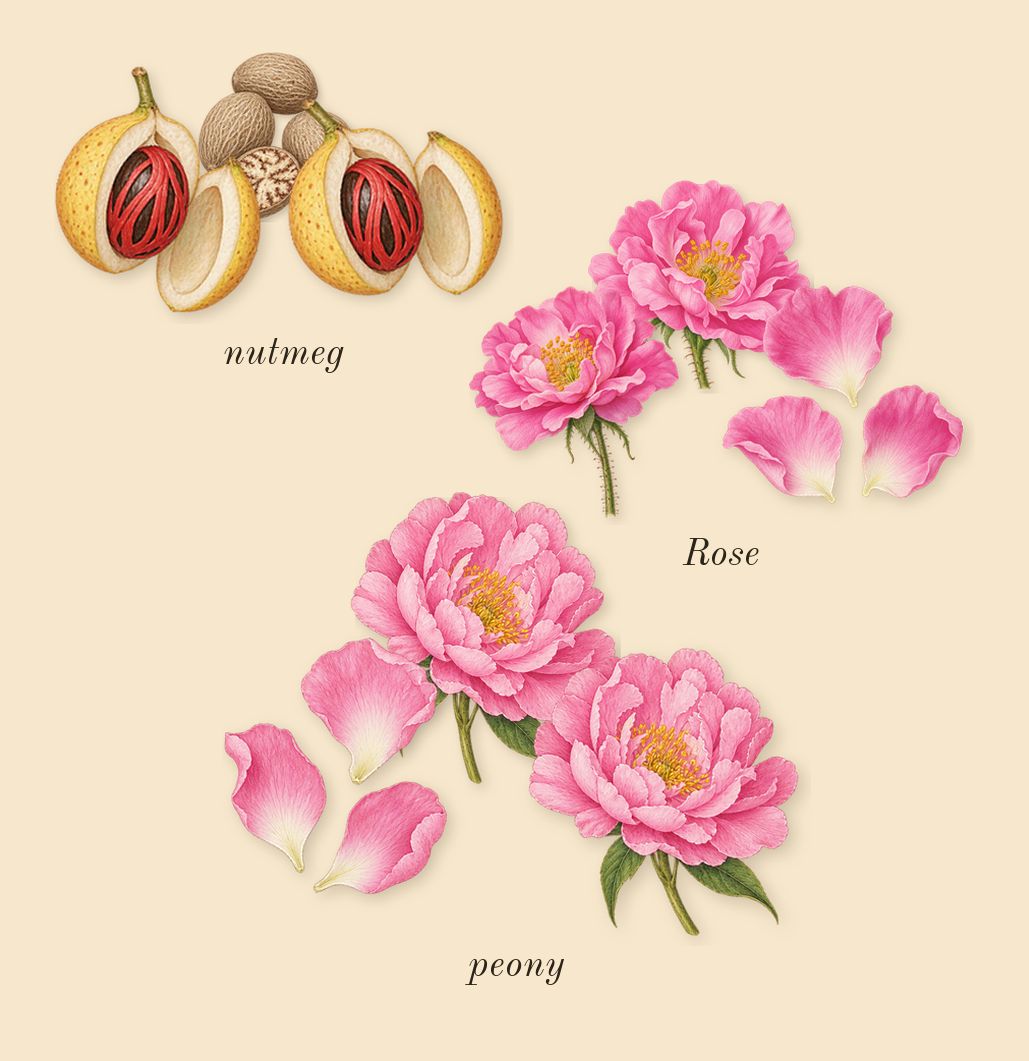 Delina, heart: Rose, nutmeg, peony