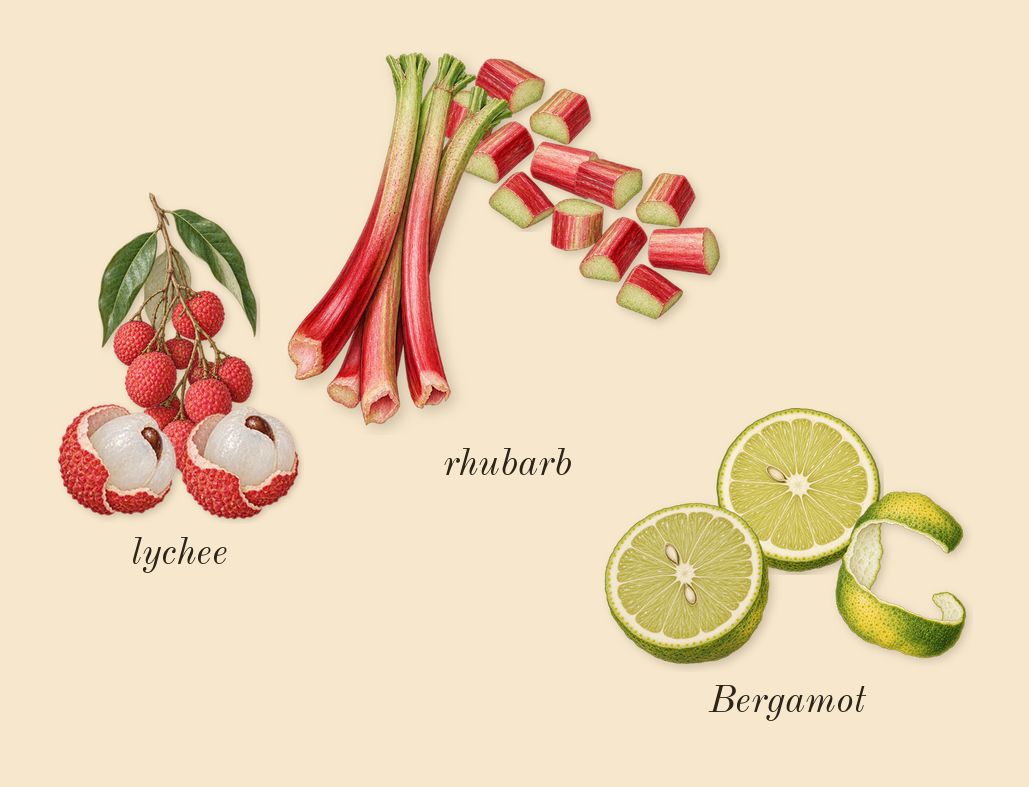 Delina, top notes: Bergamot, lychee, rhubarb