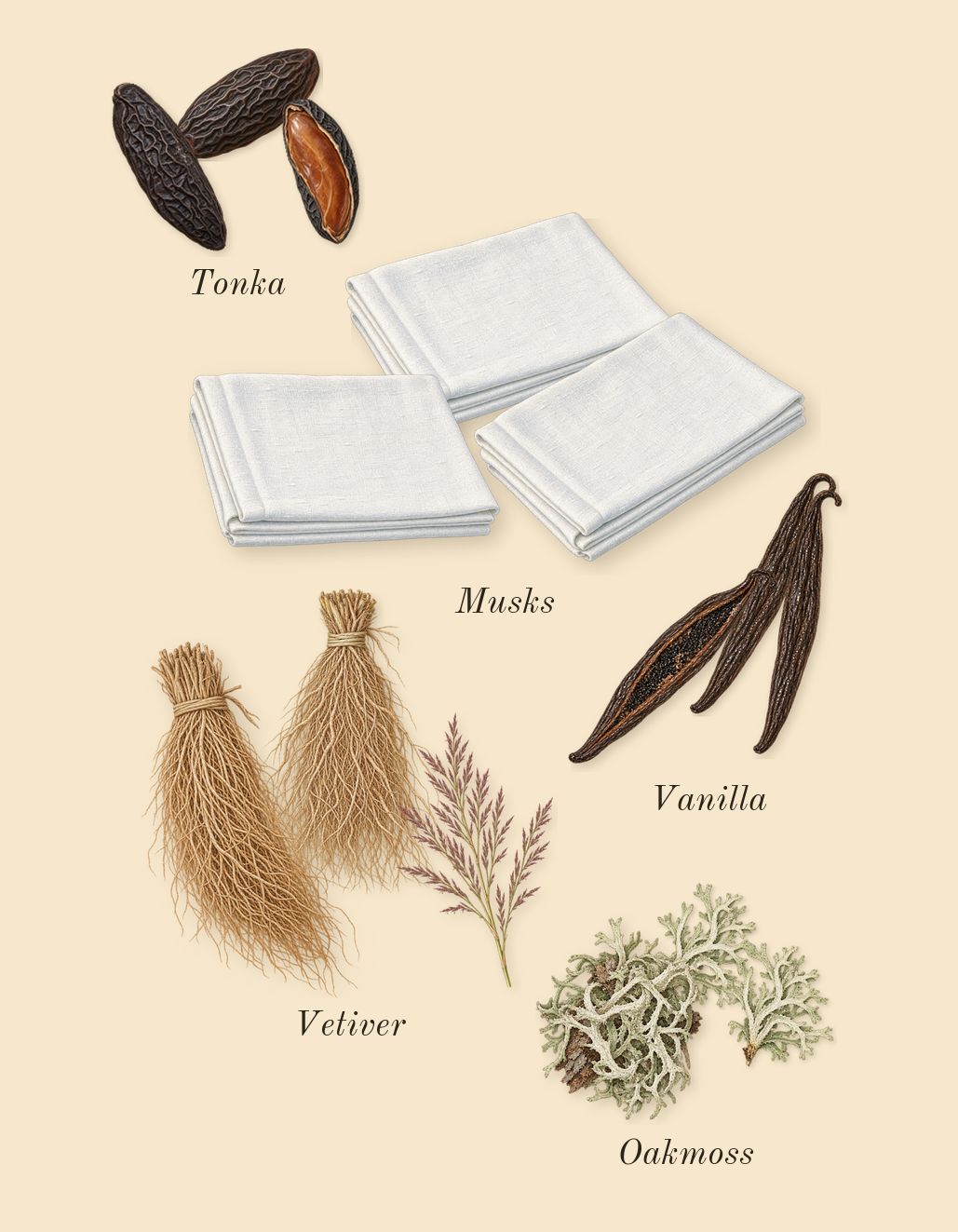 Delina Exclusif, dry-down: Vanilla, Musks, Oakmoss, Tonka, Vetiver
