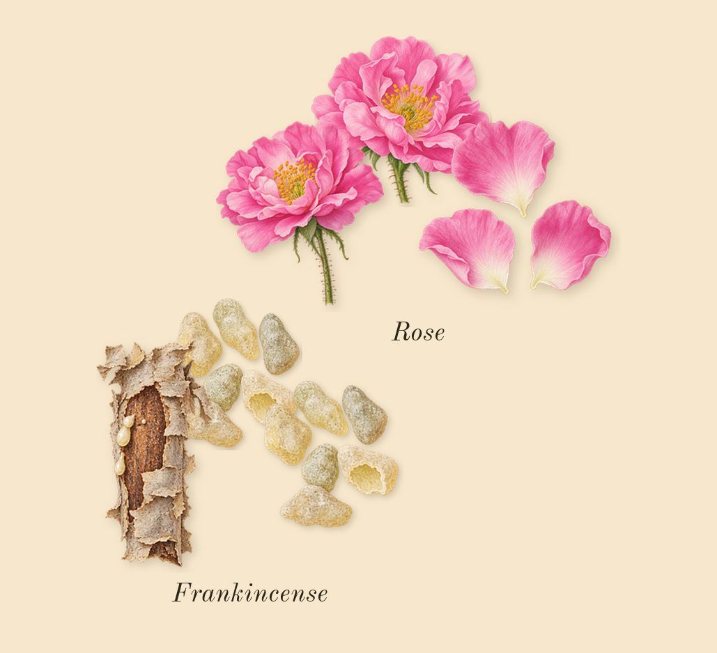 Delina Exclusif, heart: Rose, Frankincense