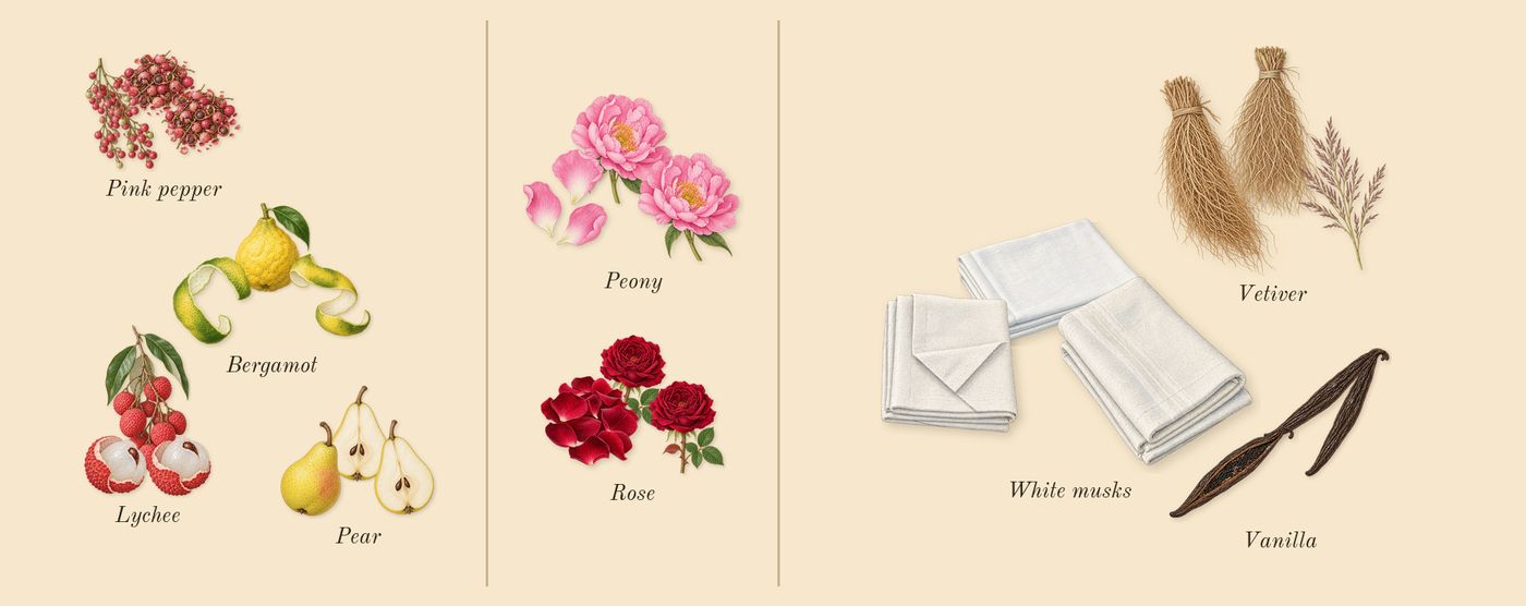 Delina La Rosée’s scent picture, a draft: bergamot, pink pepper, lychee, pear, rose, peony drawn so far; dashed outlines where nothing is drawn yet