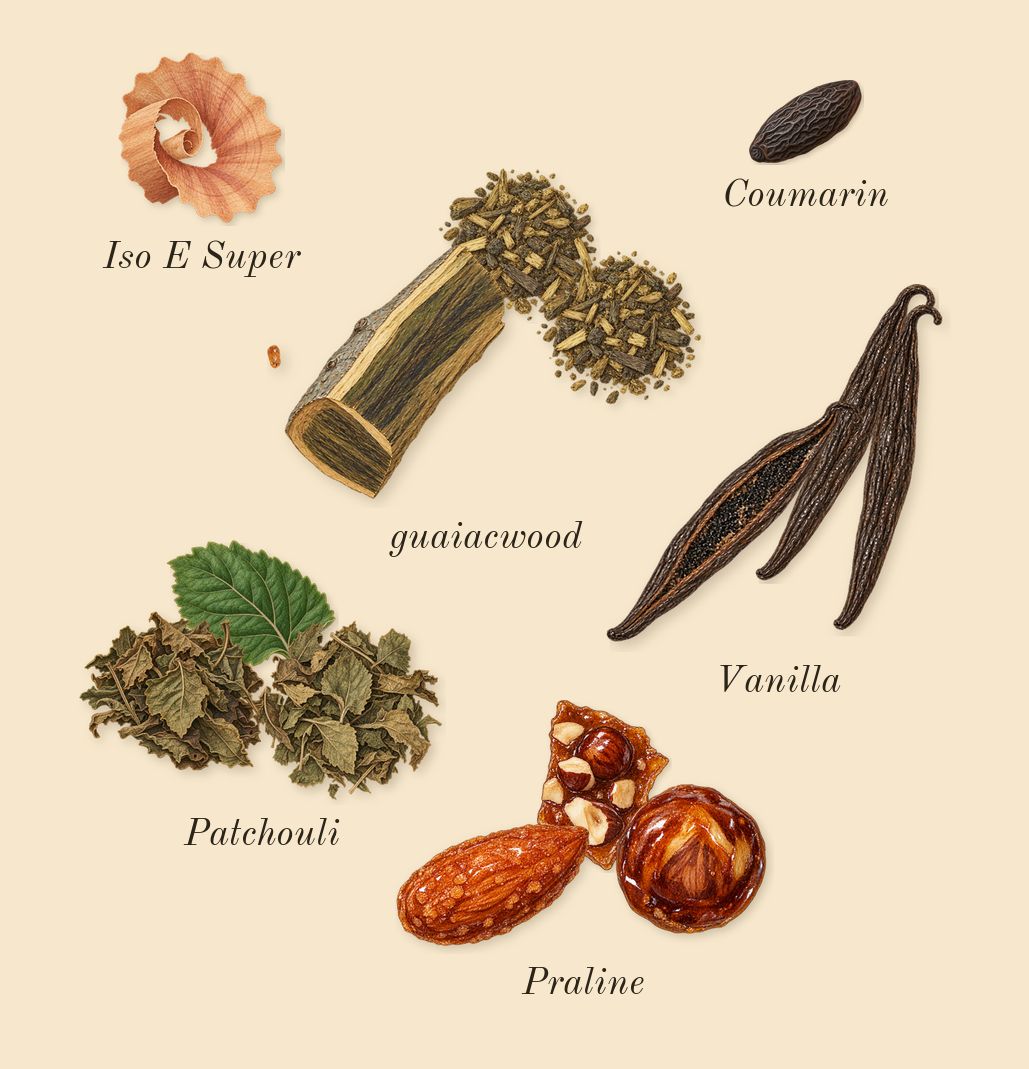 Layton, dry-down: Patchouli, Vanilla, guaiacwood, Praline, Iso E Super, Coumarin