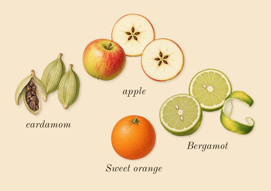 Layton, top notes: apple, Bergamot, cardamom, Sweet orange