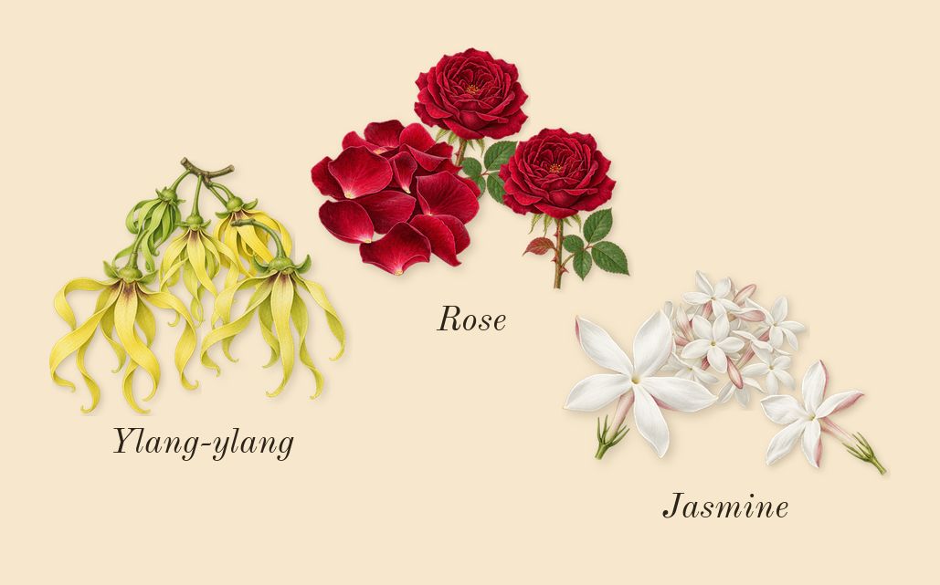 Meliora, heart: Rose, Ylang-ylang, Jasmine