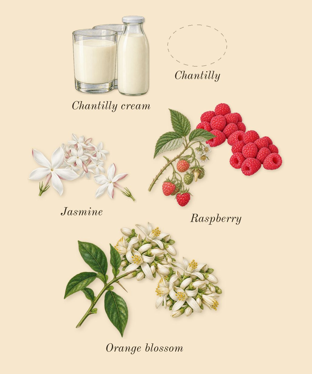 Oriana, heart: Orange blossom, Jasmine, Chantilly, Chantilly cream, Raspberry
