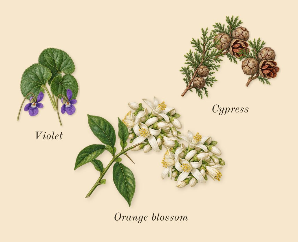 Pegasus, heart: Cypress, Violet, Orange blossom