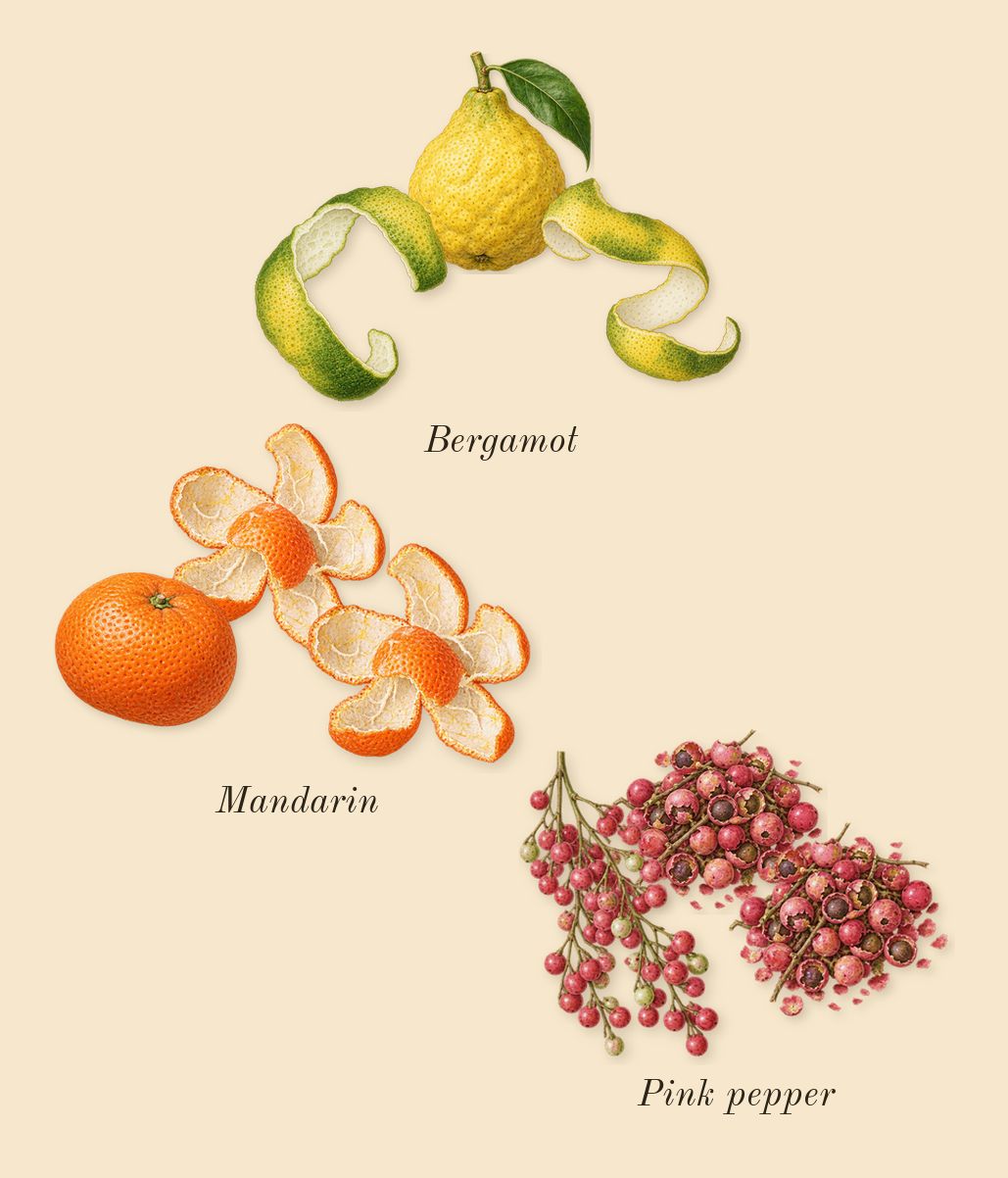 Percival, top notes: Bergamot, Mandarin, Pink pepper