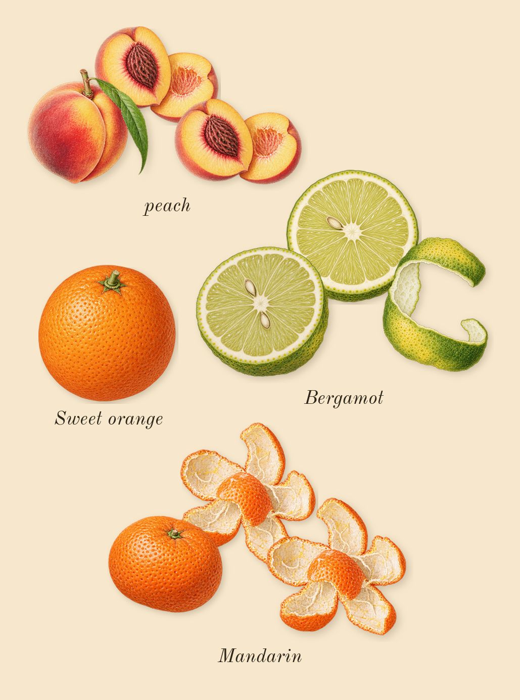 Valaya, top notes: Bergamot, Mandarin, peach, Sweet orange