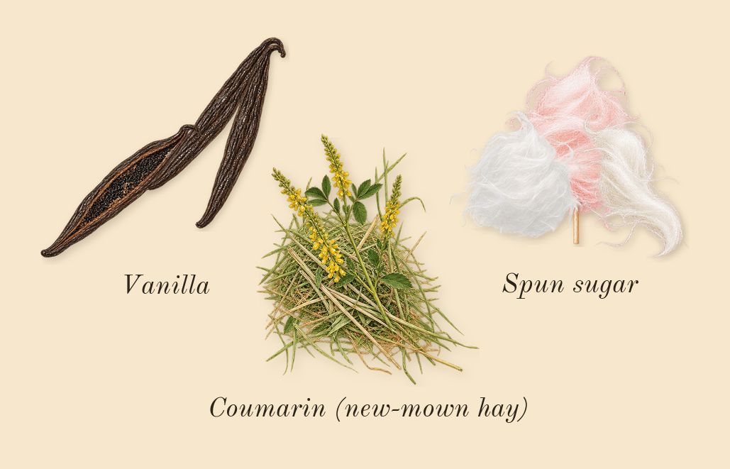 Khair Felicity, dry-down: Vanilla, Spun sugar, Coumarin (new-mown hay)