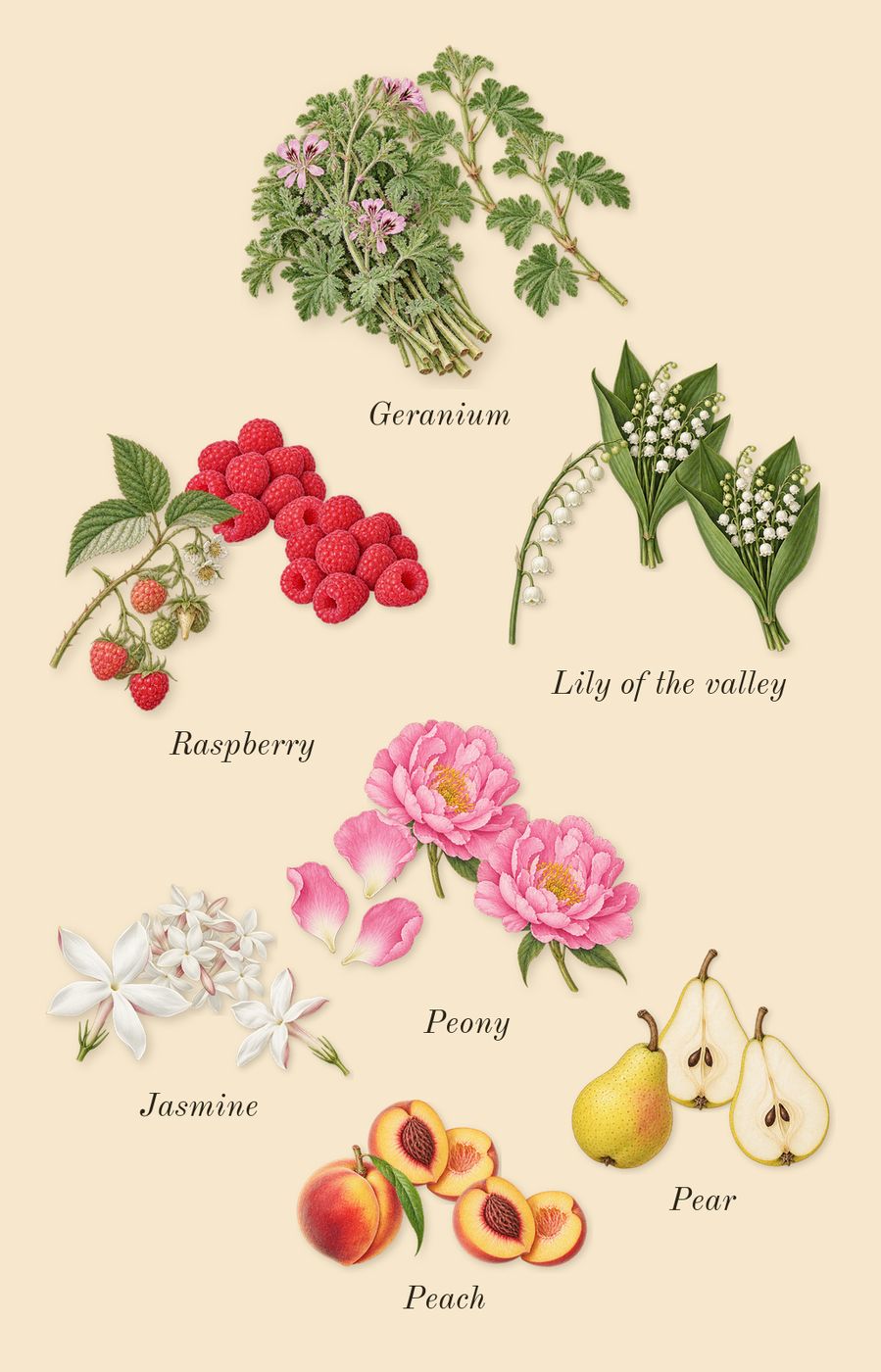 Khair Pistachio, heart: Geranium, Peony, Lily of the valley, Jasmine, Raspberry, Peach, Pear