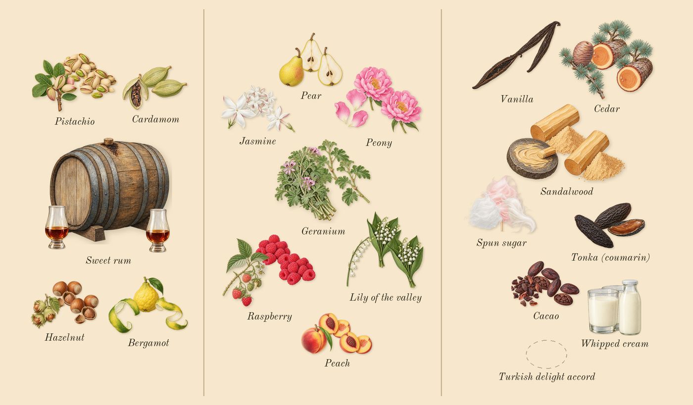 Khair Pistachio’s scent picture, a draft: bergamot, pistachio, hazelnut, sweet rum, cardamom, geranium drawn so far; dashed outlines where nothing is drawn yet
