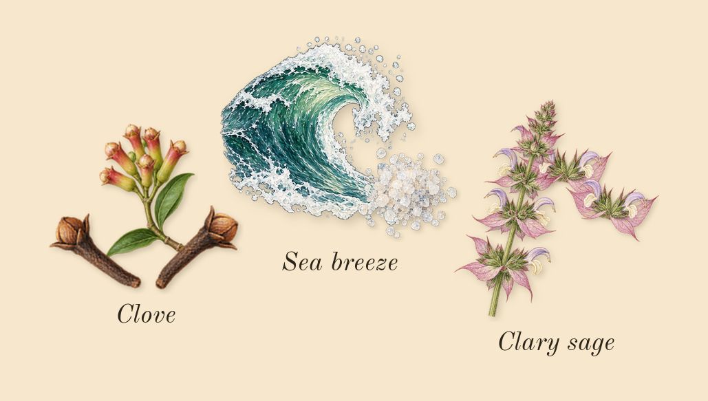 Just Me for Men, heart: Sea breeze, Clary sage, Clove