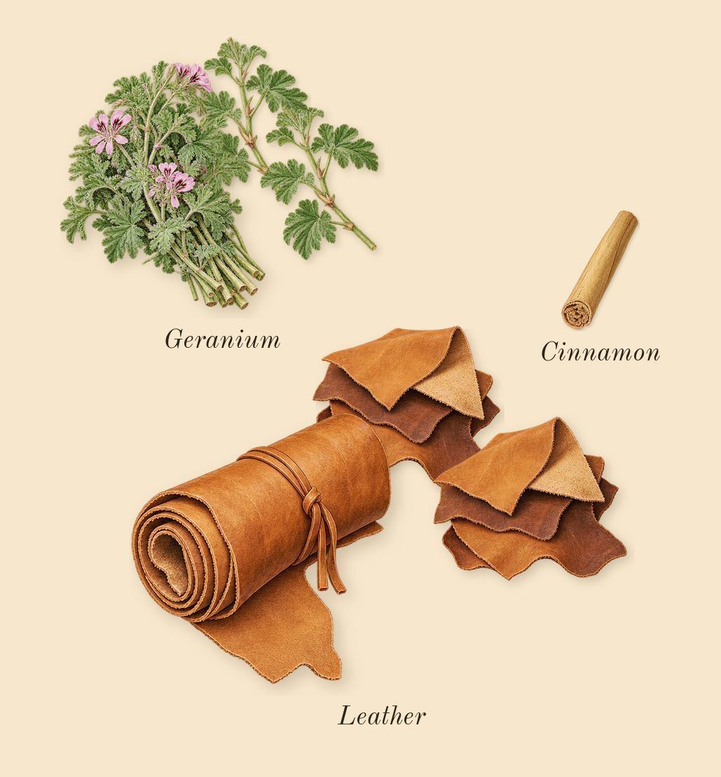 Endymion Concentré, heart: Geranium, Leather, Cinnamon