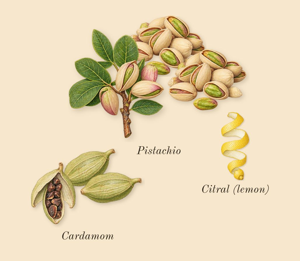 Fortuitous Finley, top notes: Pistachio, Cardamom, Citral (lemon)