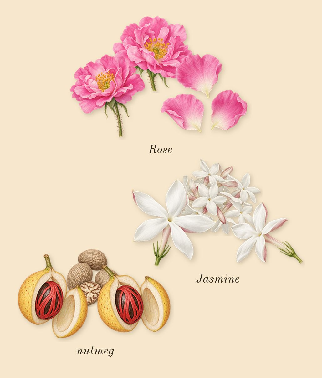 Halfeti, heart: Rose, Jasmine, nutmeg