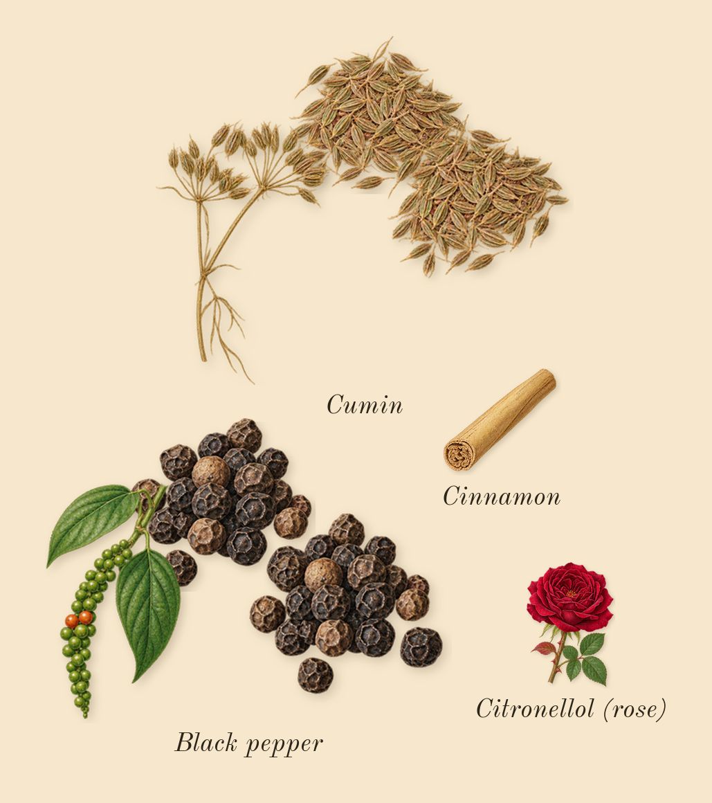 The Blazing Mister Sam, heart: Black pepper, Cumin, Cinnamon, Citronellol (rose)