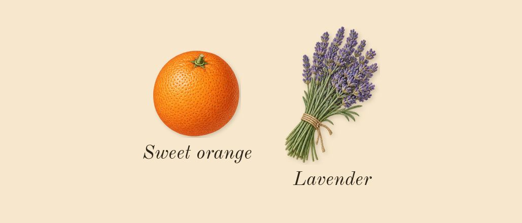 The Blazing Mister Sam Intense, top notes: Sweet orange, Lavender