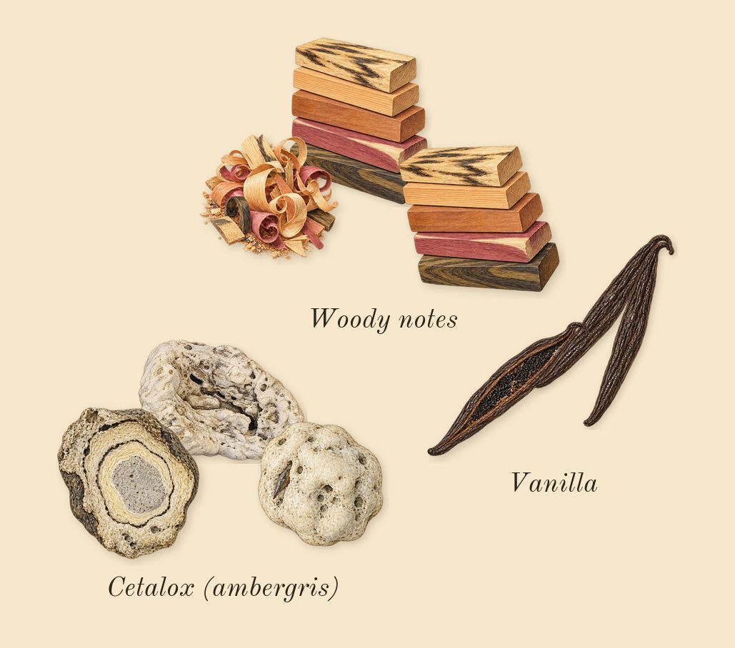 The Coveted Duchess Rose, dry-down: Vanilla, Woody notes, Cetalox (ambergris)